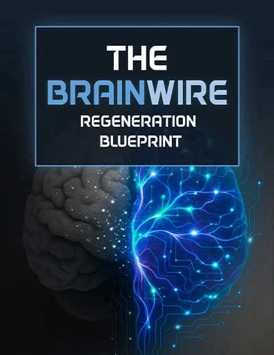 The Brainwire Regeneration Blueprint digital guide cover